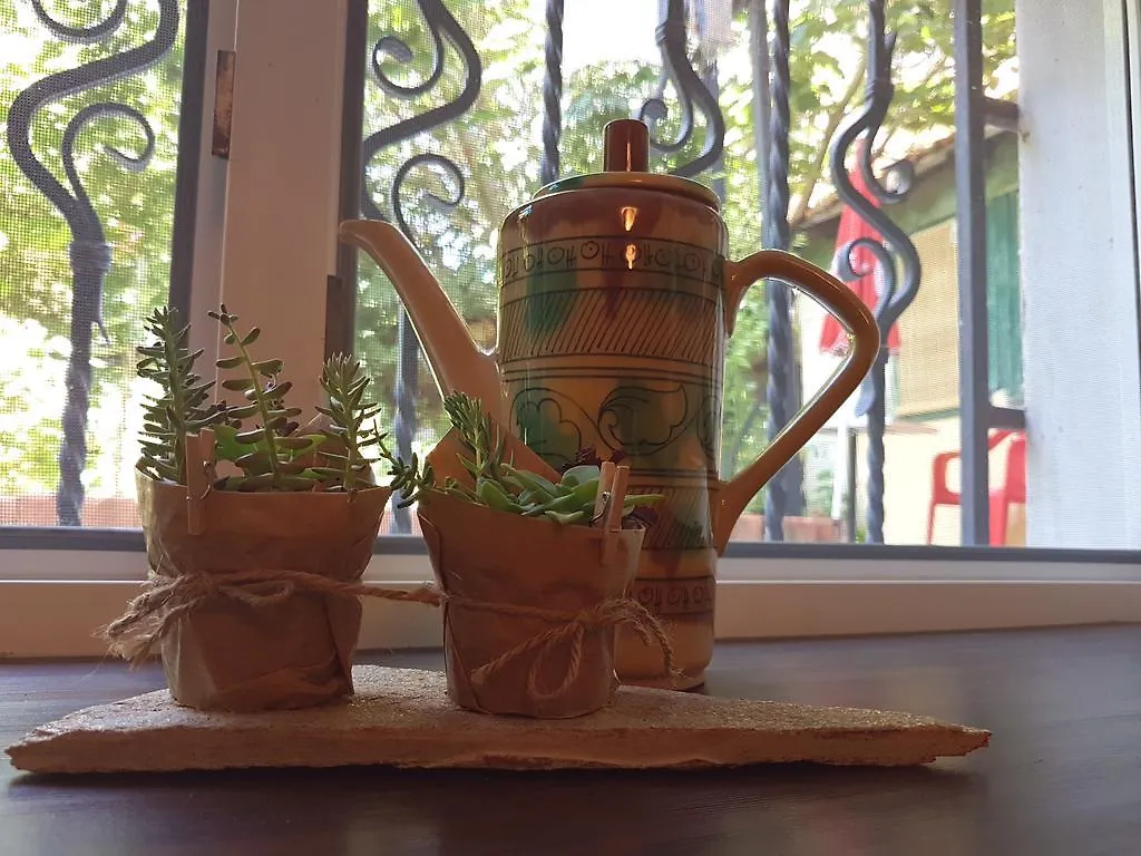 Grandmother'S House Hotel Burgas 0*,