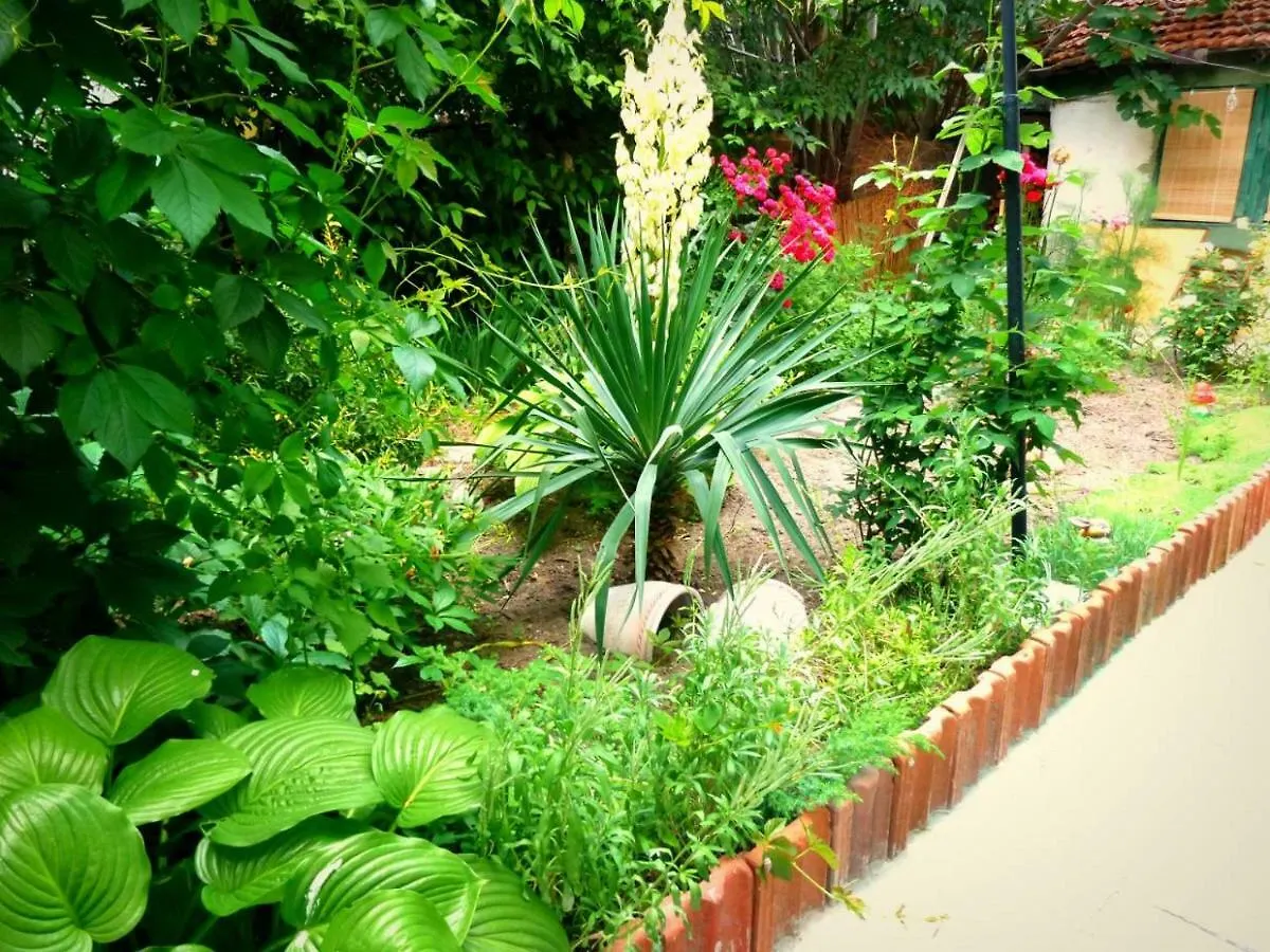 Guest house Grandmother'S House Hotel Burgas Bulgaria